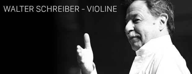Walter Schreiber, Violine